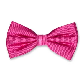 Noeuds papillon / Nœud papillon homme rose vif