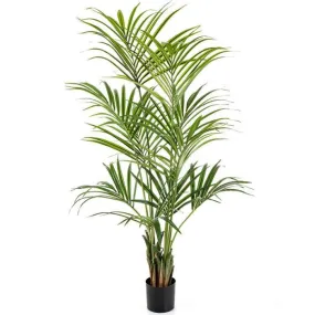 Palmier Kentia naturel - Fausse plante, différentes tailles