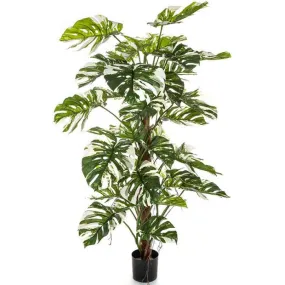 Philodendron Tropical sur poteau - Fausse plante, différentes tailles