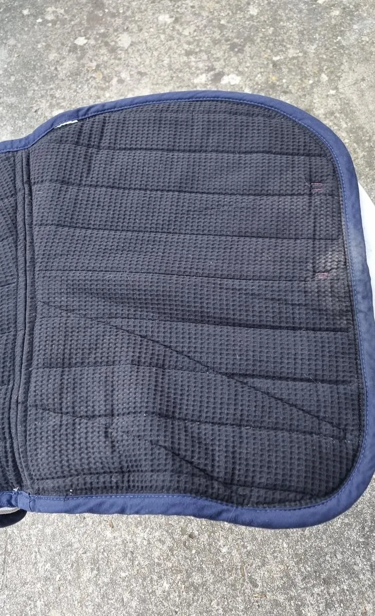 Tapis bordeaux cheval